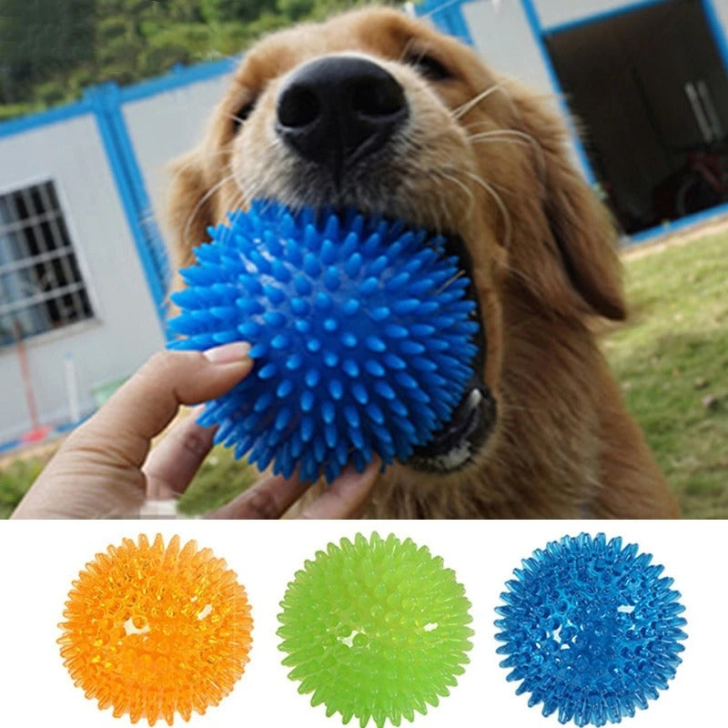 Dog playing with a blue spiky ball, with additional images of orange, green, and blue balls below.