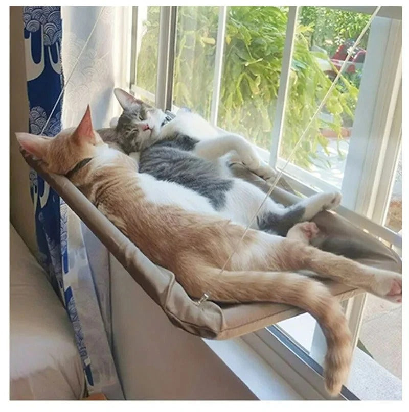 Two cats lounging on a window-mounted pet hammock with a view of greenery outside.