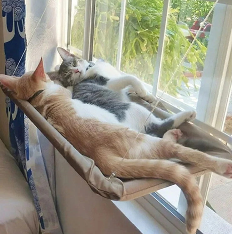 Two cats lounging on a window-mounted pet hammock with a view of greenery outside.