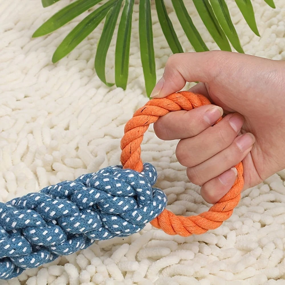 Hand holding a blue and orange braided rope toy on a textured surface with green leaves in the background
