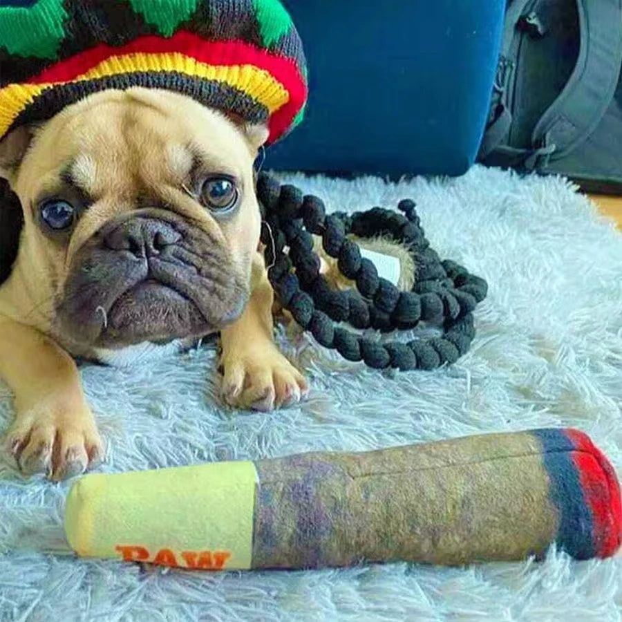 Dog wearing a colorful hat with a toy on a fluffy white surface