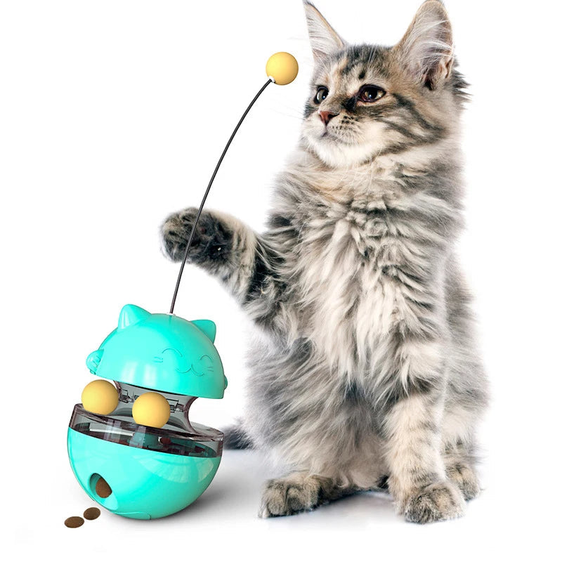 Cat playing with a teal toy featuring yellow balls on a white background