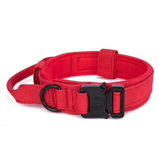 Red dog collar with a black buckle on a white background