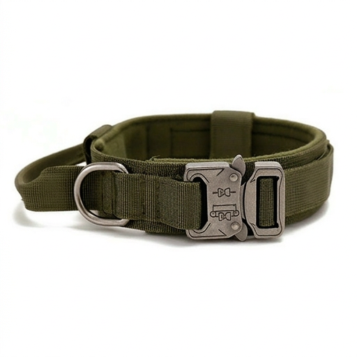 Green tactical dog collar with metal buckle on a white background