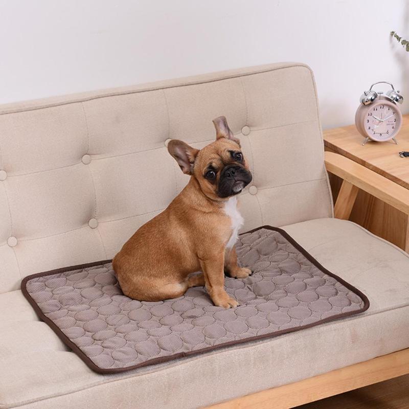 Small dog sitting on a self cooling pet mat on a couch