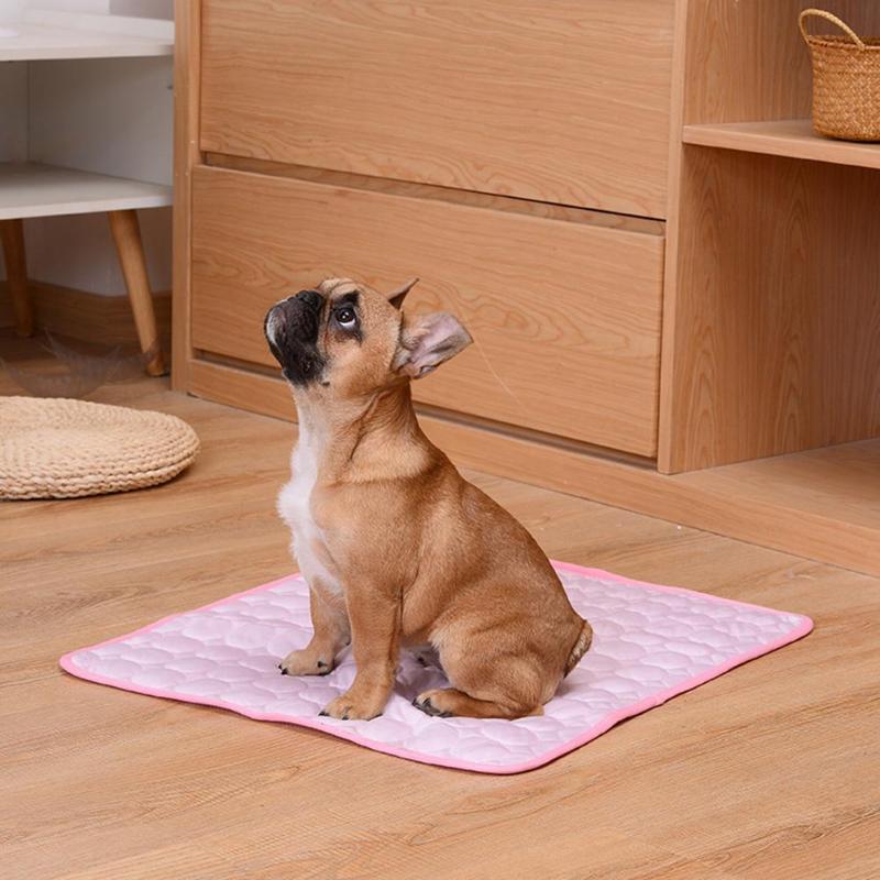 Dog sitting on a pink pet self cooling mat in a room with wooden furniture.