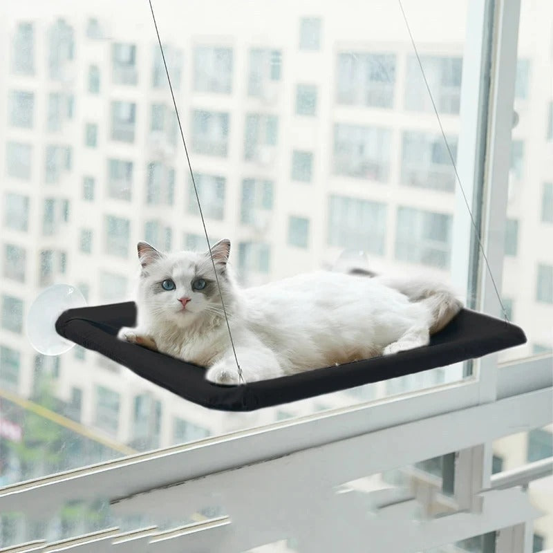 Cat lounging on a window-mounted hammock with cityscape background