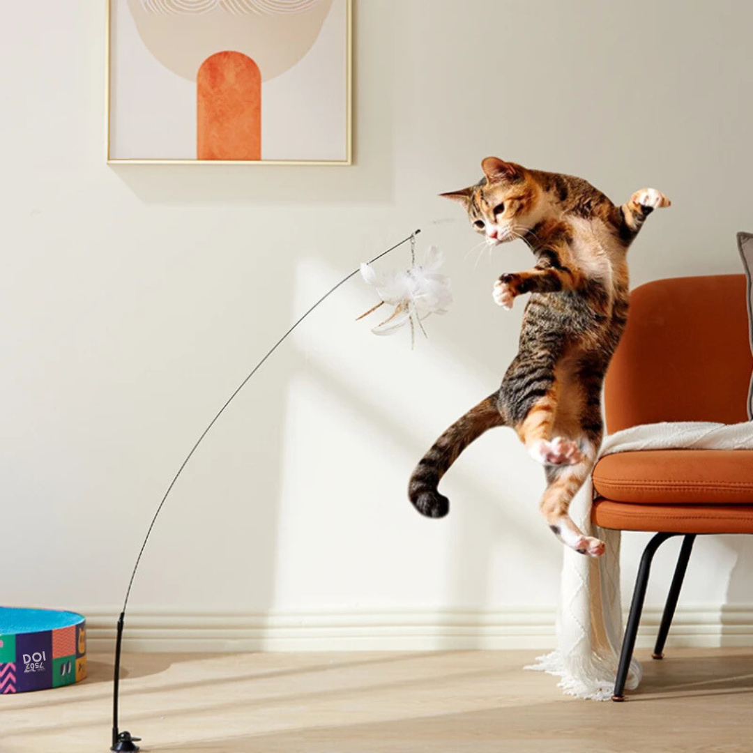 Cat playing with a cat toy on an orange chair in a room with a framed picture on the wall.