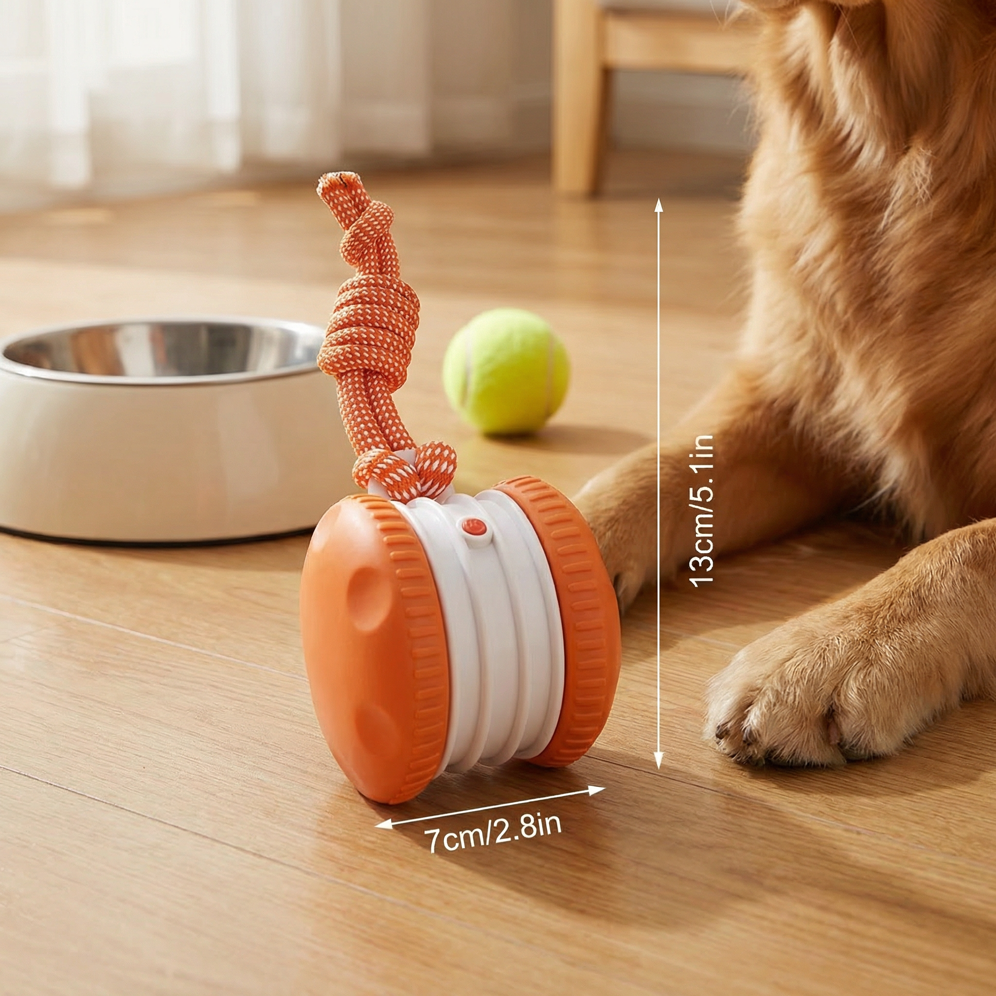Dog toy with measurements next to a dog on a wooden floor