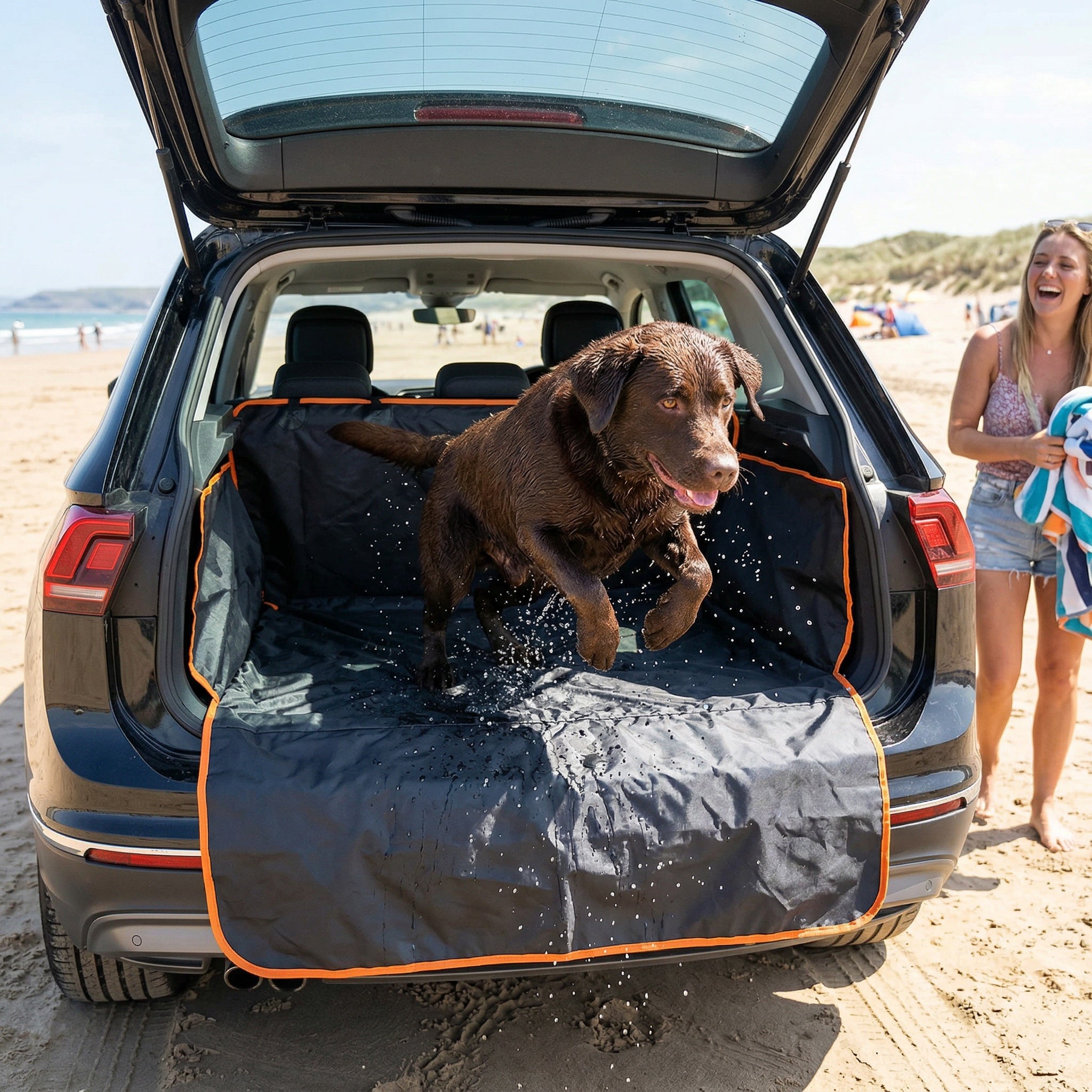 Carriers & Travel