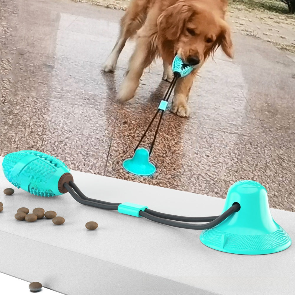 Dog playing with a teal dog toy on a concrete surface