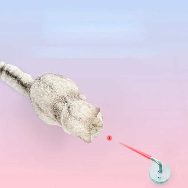 Cat playing with a laser pointer on a gradient background