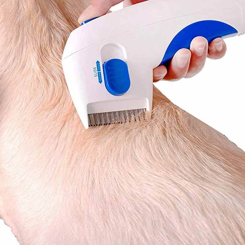 Flea removal device being used on a dogs skin
