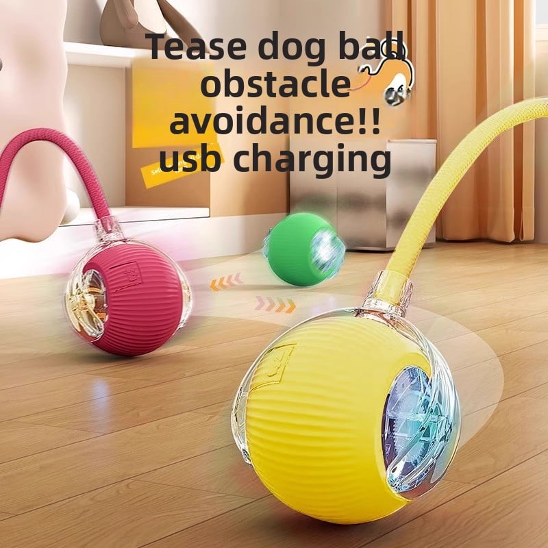 Colorful dog toy with USB charging feature on a wooden floor.