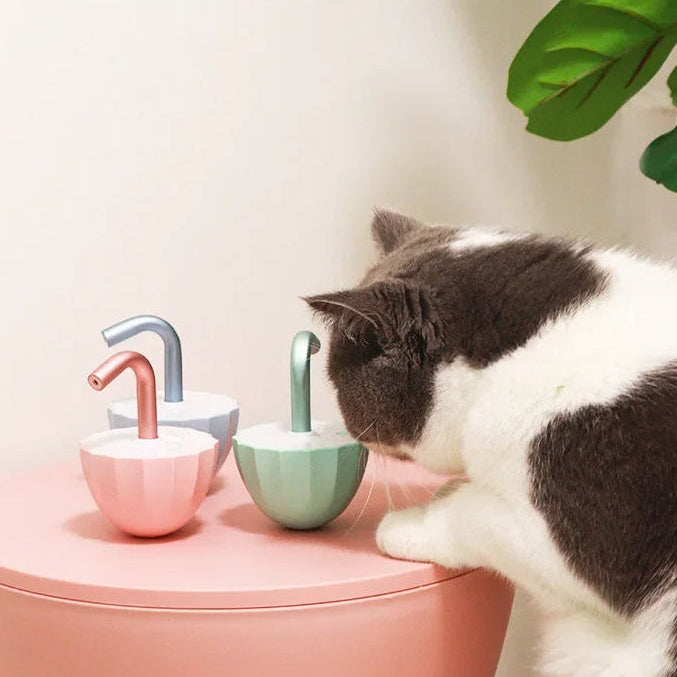 Cat interacting with colorful ceramic sinks on a pink surface.