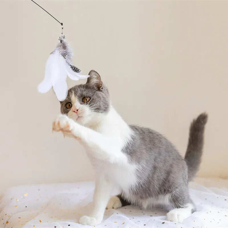 Cat playing with a feathered cat toy on a light-colored surface.