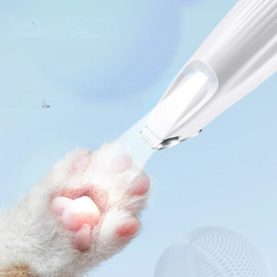 Cat paw being cleaned with a white handheld device against a light blue background