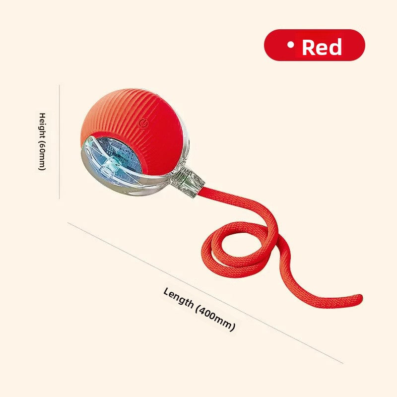 Red dog ball with rope with measurement details on a white background
