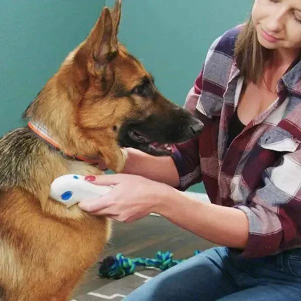 Woman petting a German Shepherd dog with a blue background