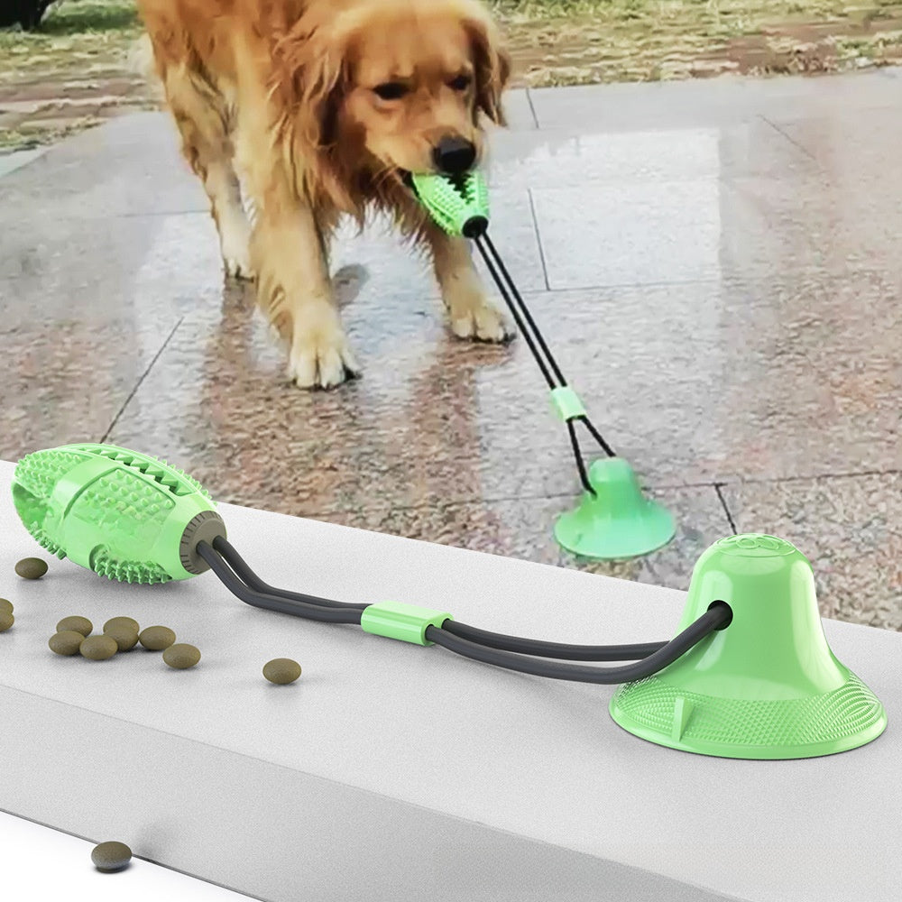 Dog playing with a green and black toy on a concrete surface.