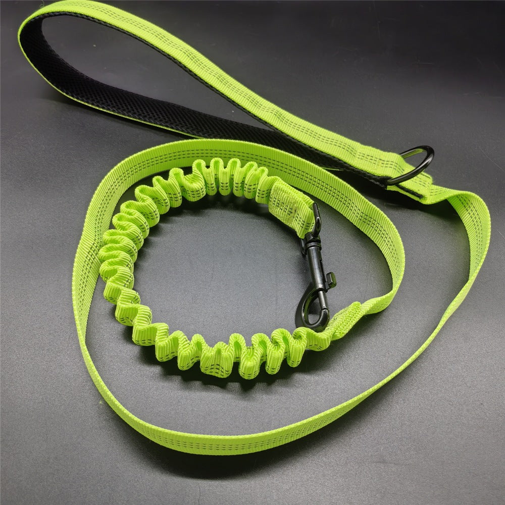 Green dog leash with a coiled design on a gray background