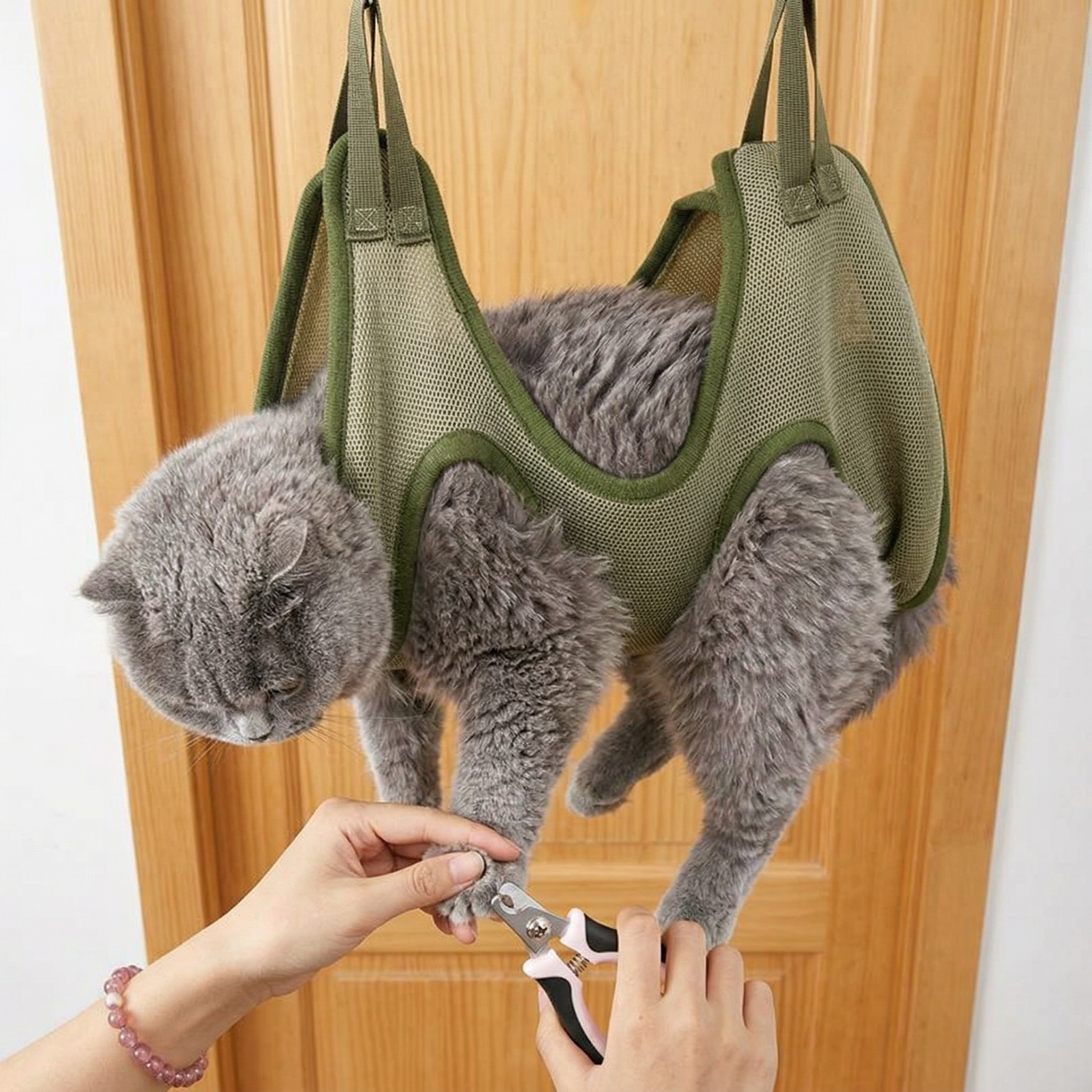 Cat being held in a green mesh harness while being groomed by a person with scissors.