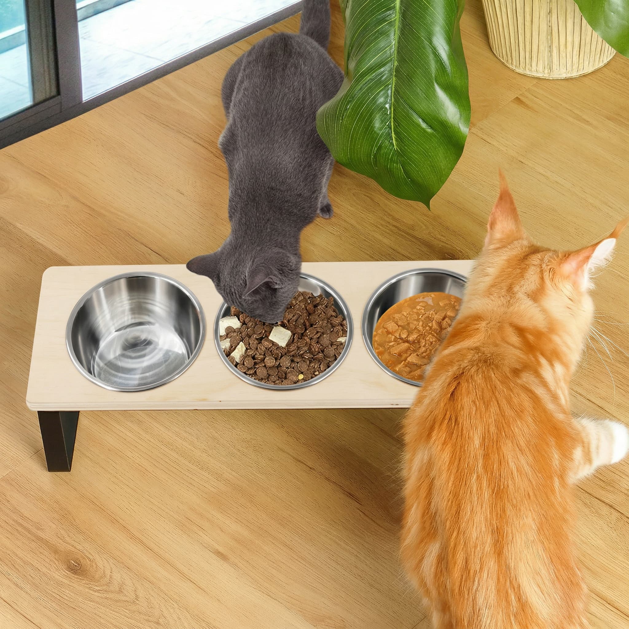 Two cats at a raised pet feeding station with three bowls on a wooden floor.