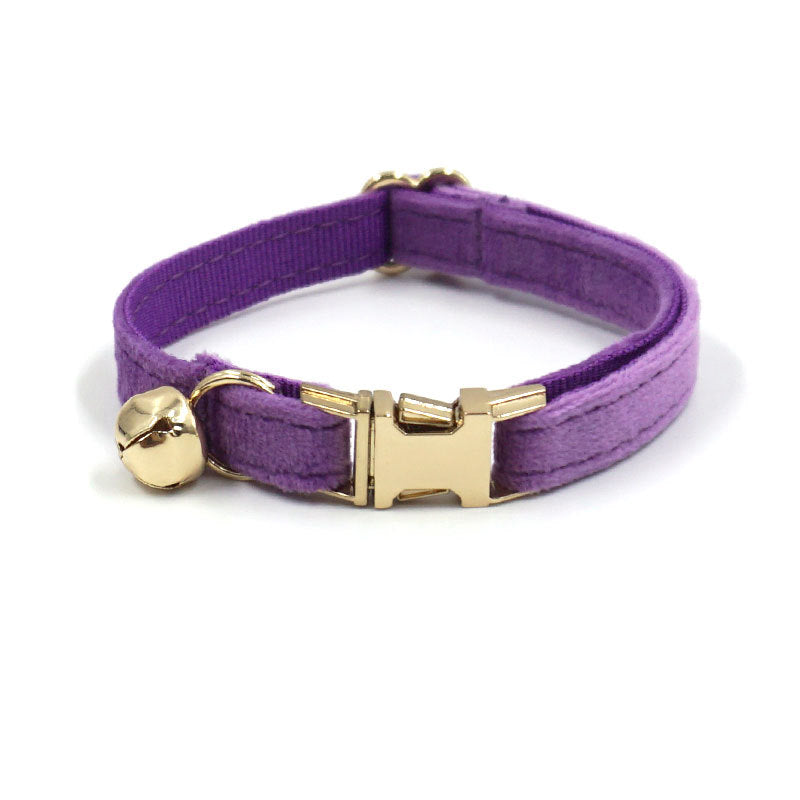 Purple dog collar with gold buckle and bell on a white background