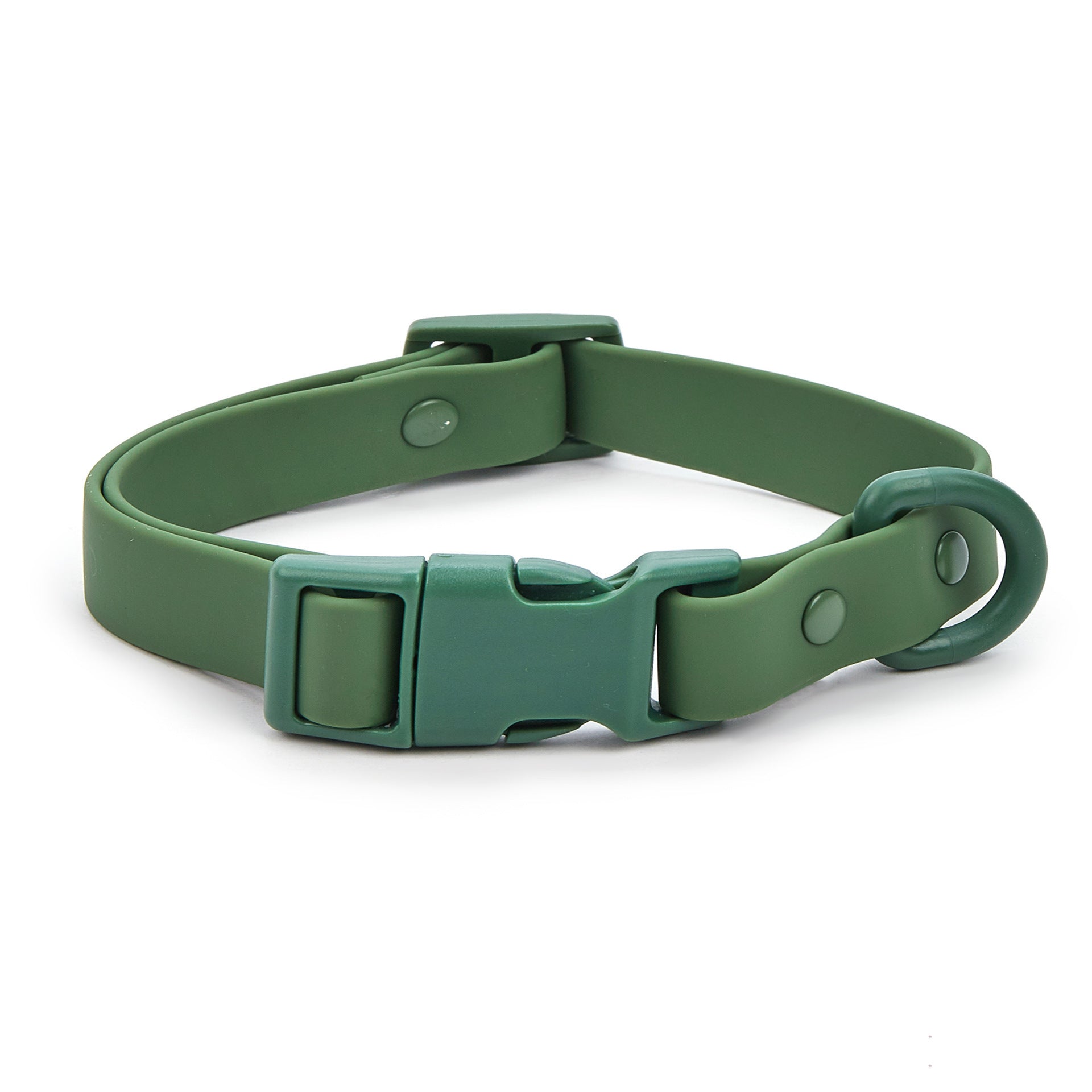 Green dog collar with a buckle on a white background