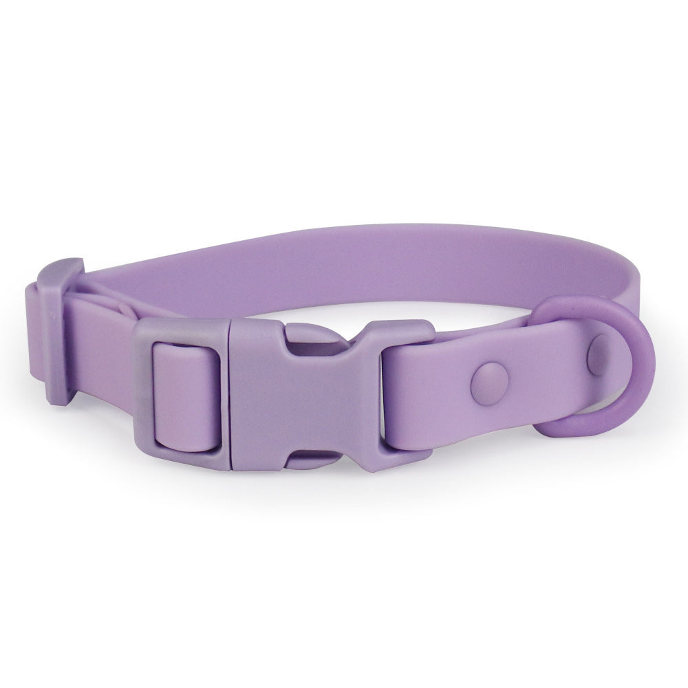 Purple dog collar on a white background