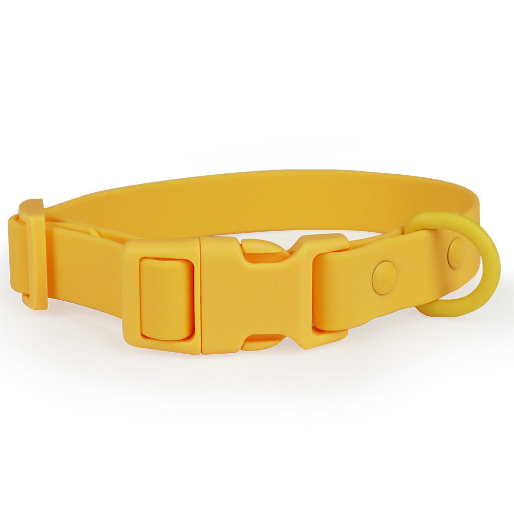 Yellow dog collar on a white background