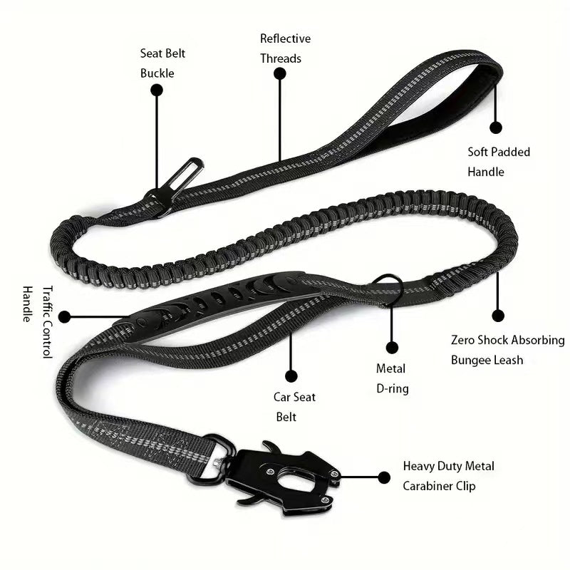 Black dog leash with labeled features on a white background