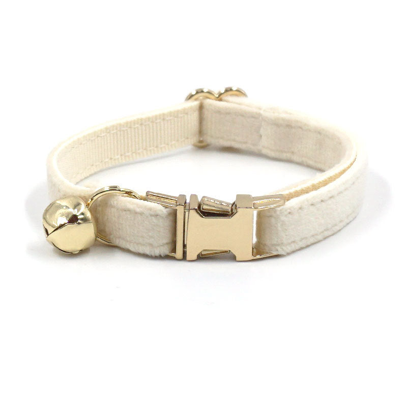 white cat collar on white background