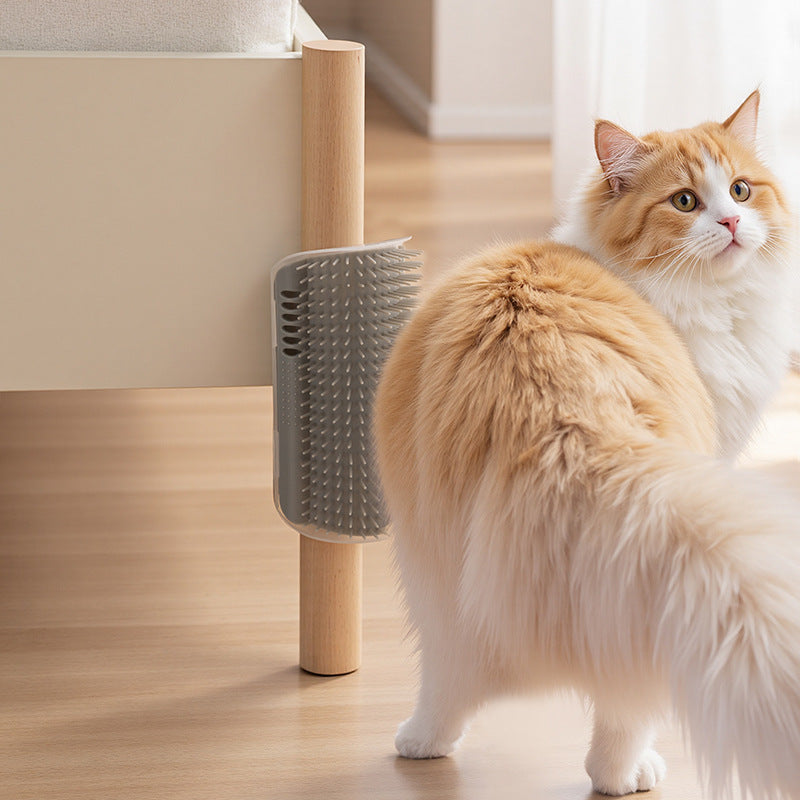 Cat standing next to a pet grooming brush on a wooden floor.