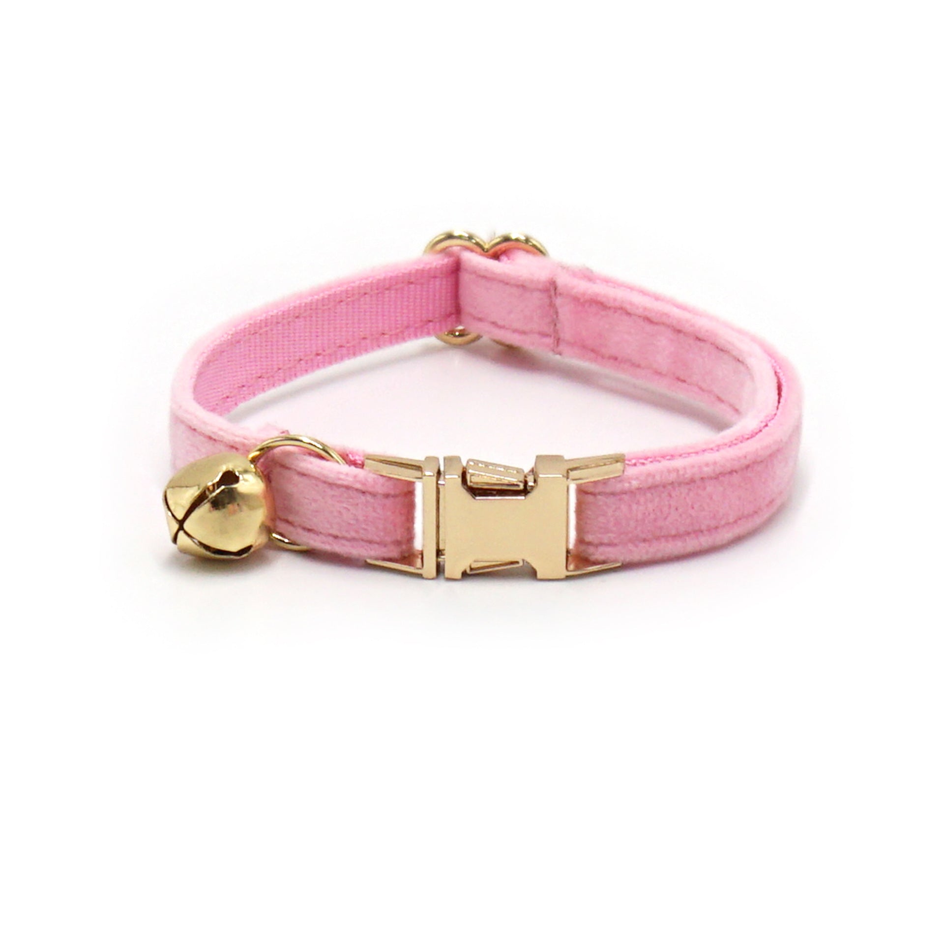 Pink dog collar with gold buckle and bell on a white background
