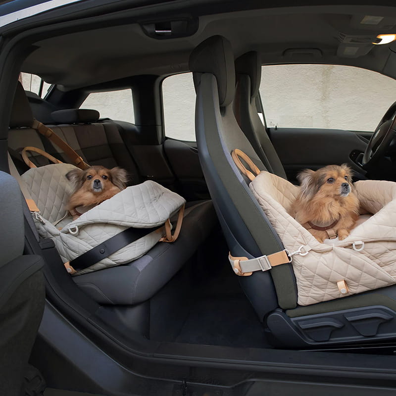 Two dogs in pet car seats with safety belts inside a vehicle.
