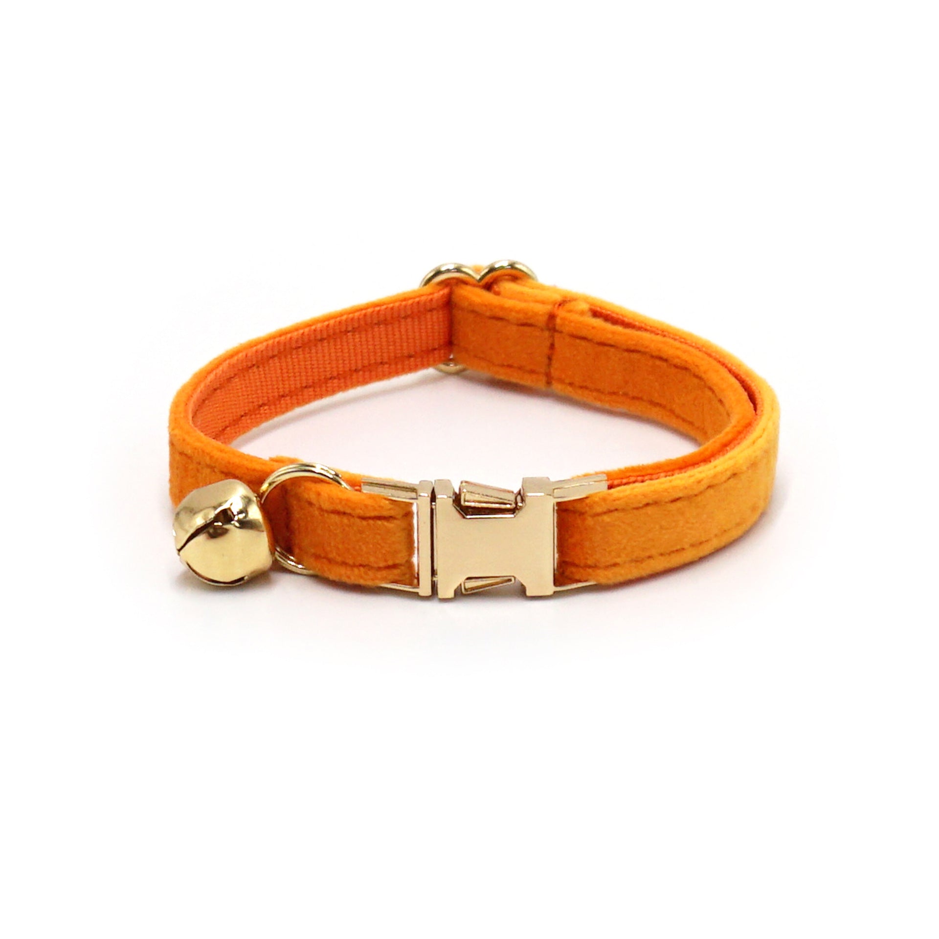 Orange cat collar with gold hardware on a white background
