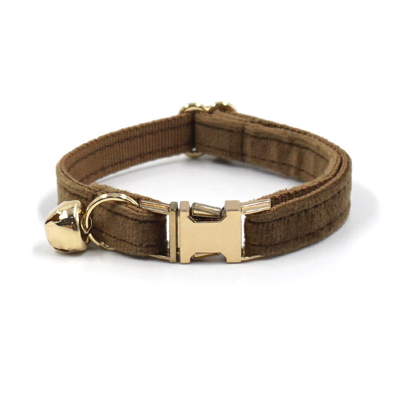 Brown dog collar with gold buckle on a white background
