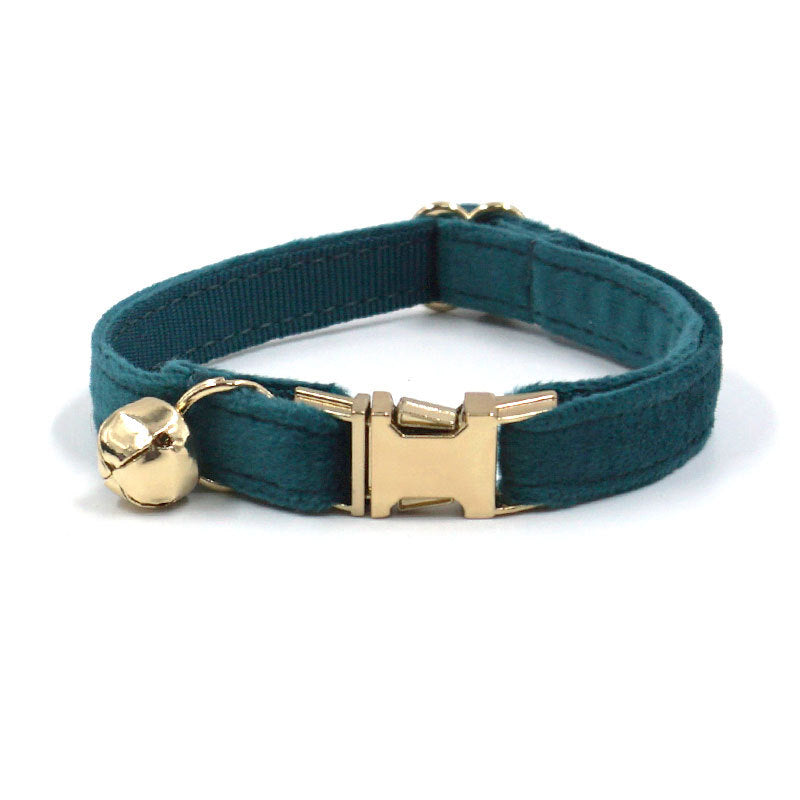 Teal cat collar with gold buckle and bell on a white background