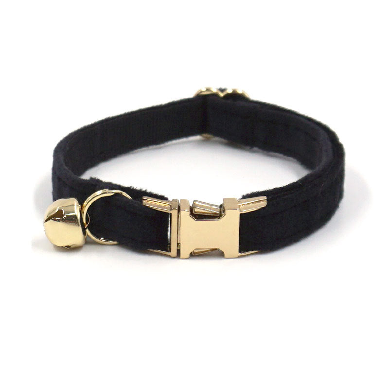 Black cat collar with gold hardware on a white background