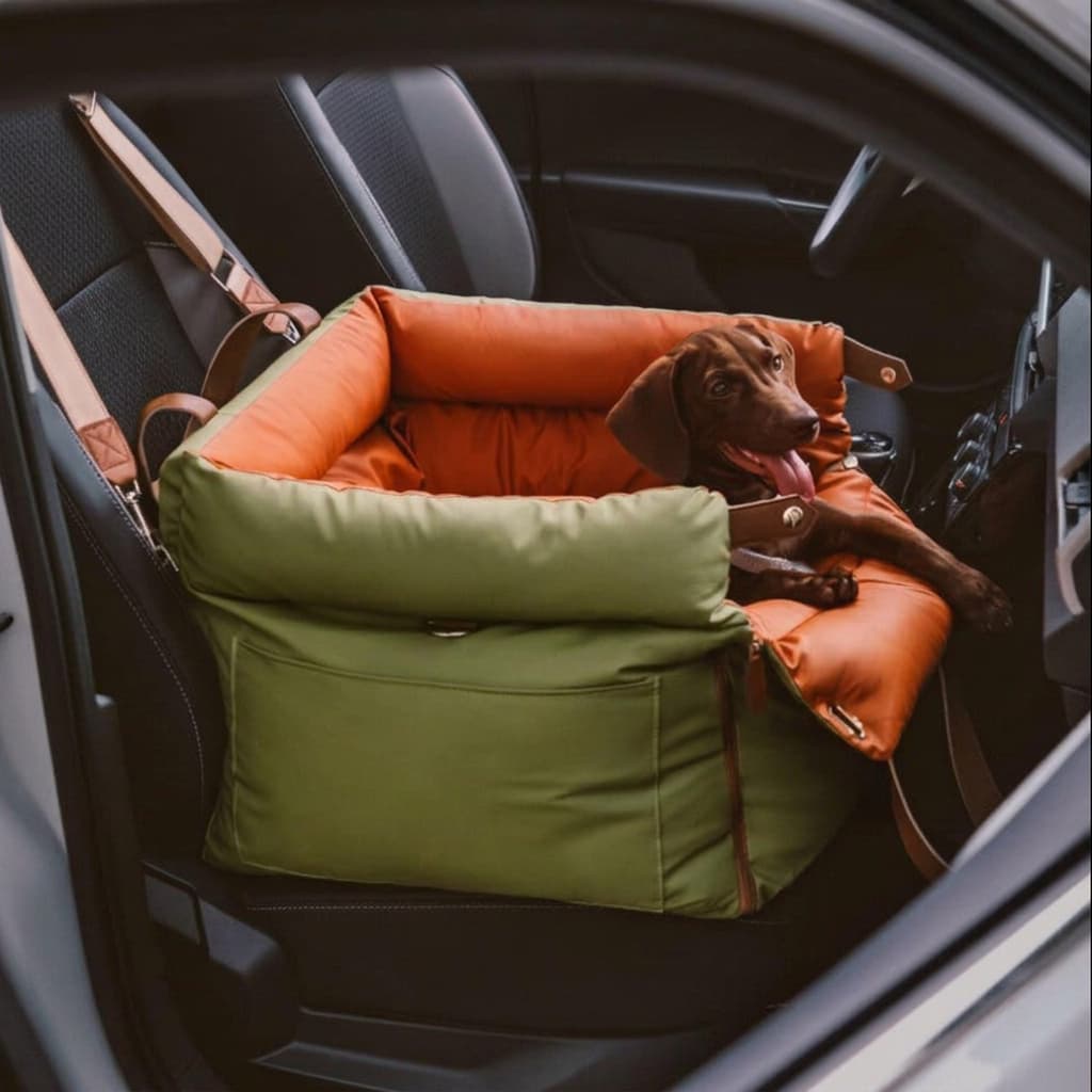 Olive green and orange dog travel cushion with a dachshund inside