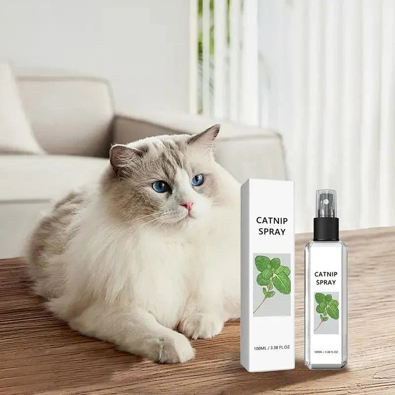 Cat sitting next to a catnip spray bottle and packaging on a wooden surface.