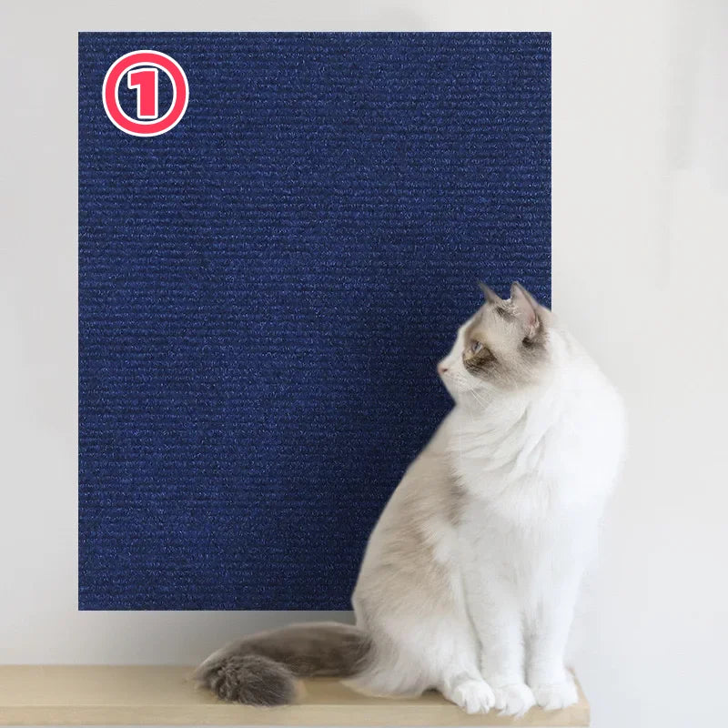 Cat sitting on a wooden platform next to a blue scratching post with a red circle and number 1 on a white background