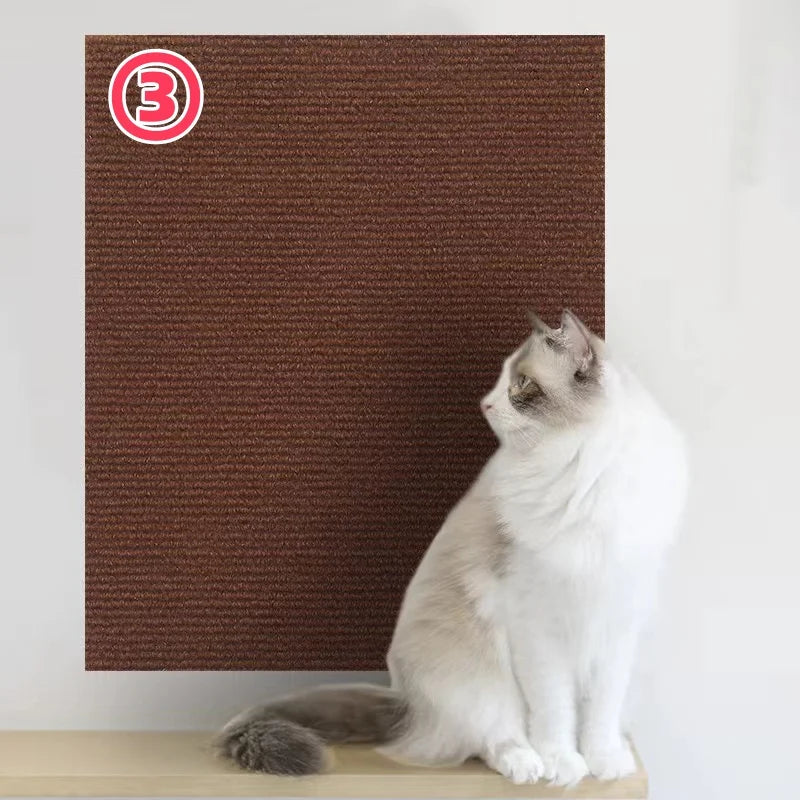 Cat sitting on a wooden platform next to a brown scratching post with a white wall background