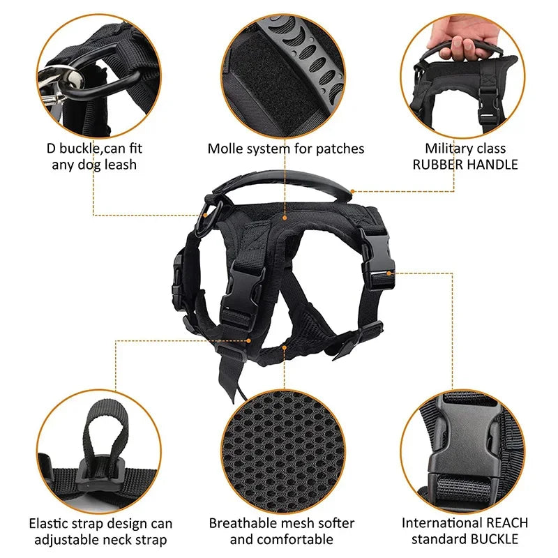 Black dog harness with various features highlighted on a white background
