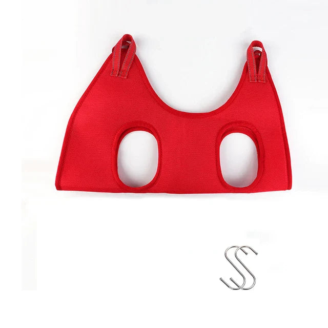 Red cat harness on a white background