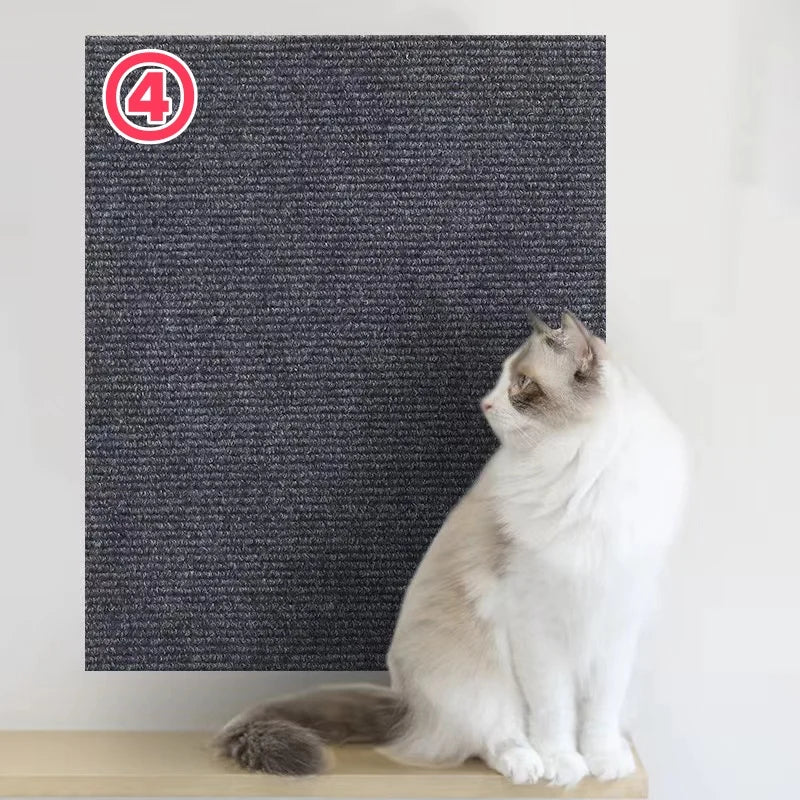 Cat sitting on a wooden surface next to a textured dark gray wall with a red circle and number 4.