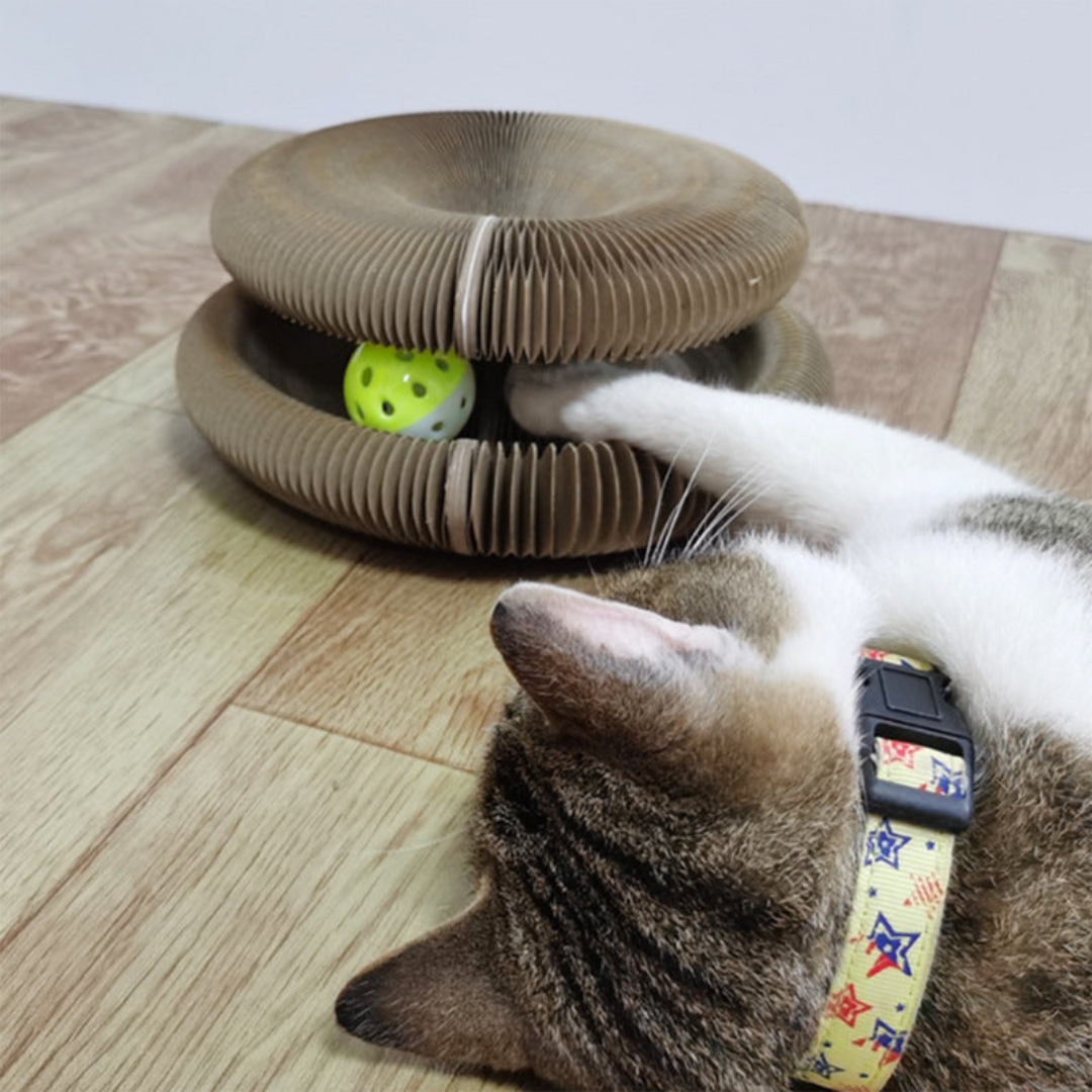 Cat playing with a cardboard cat toy on a wooden floor