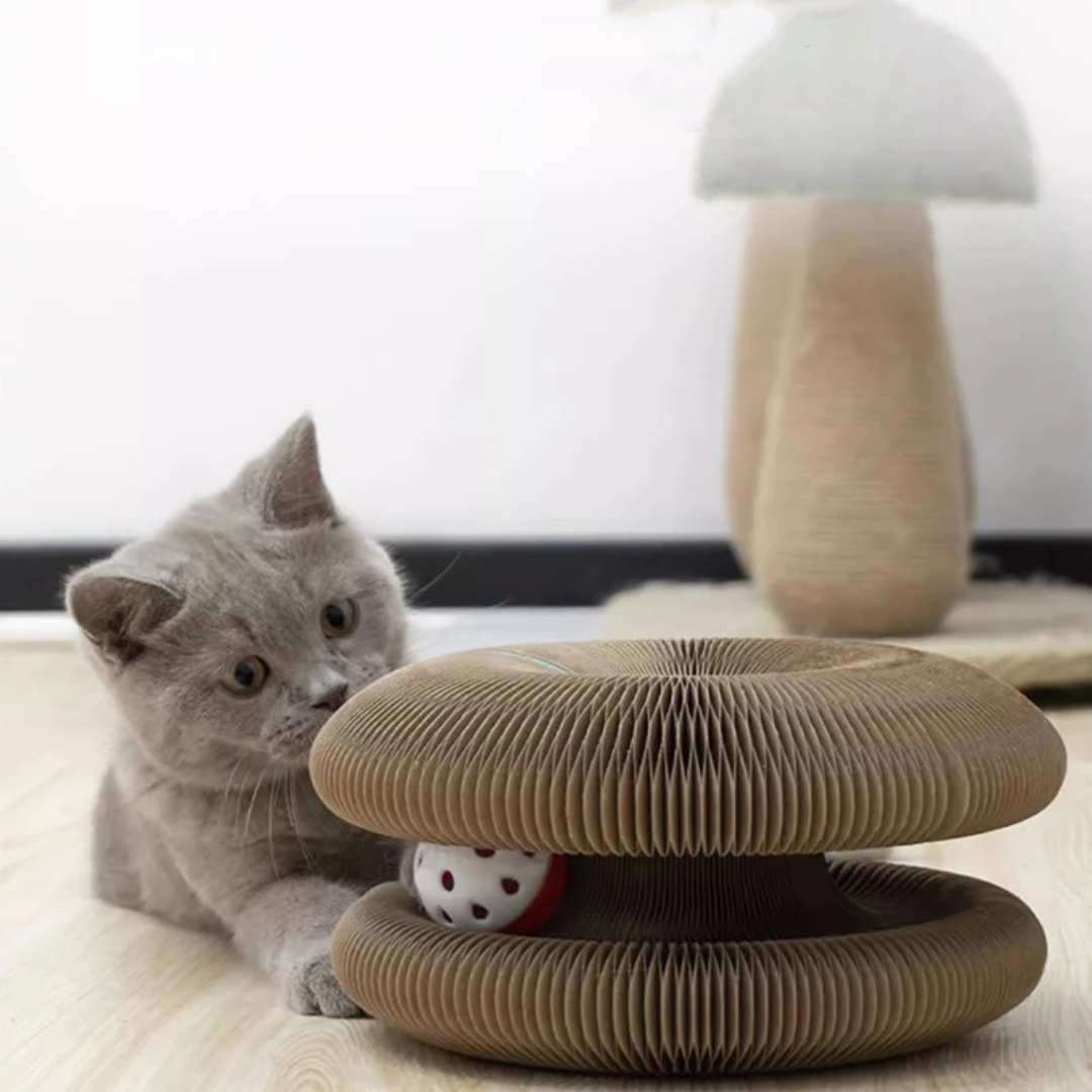 Cat playing with a cardboard cat toy on a light-colored floor.