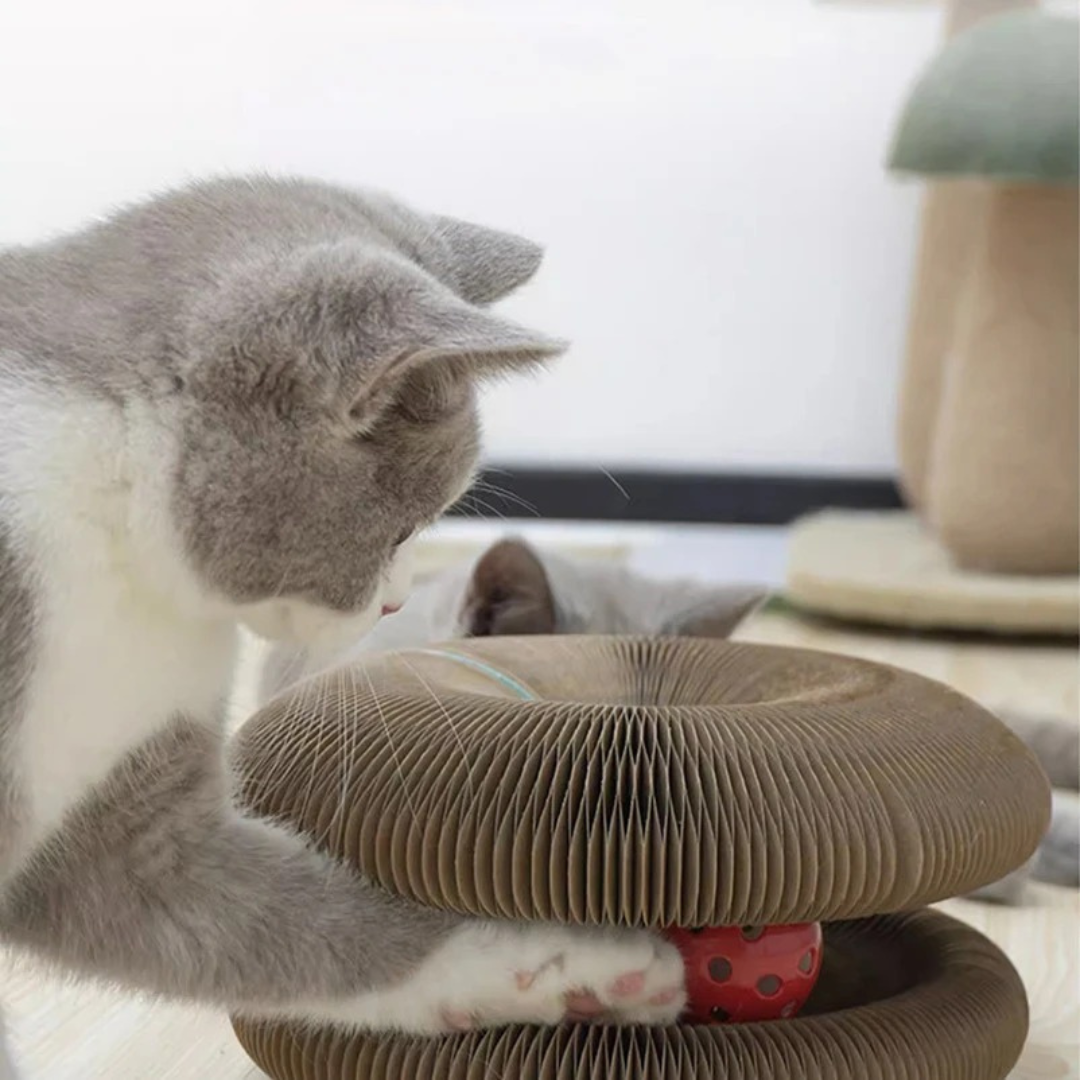 Cat interacting with a cardboard cat tree on a table